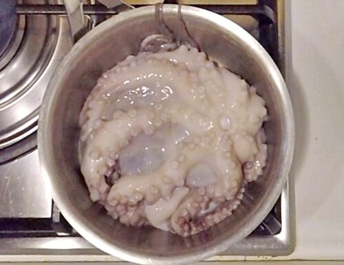 How to boil octopus without water