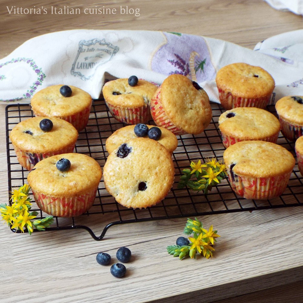 Blueberry Cupcakes with milk 