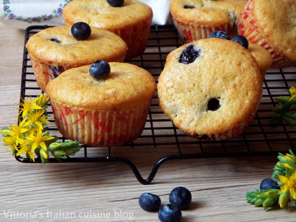 Blueberry Cupcakes with milk  recepes